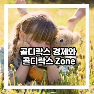 골디락스 경제와 골디락스 Zone의 의미와 특징