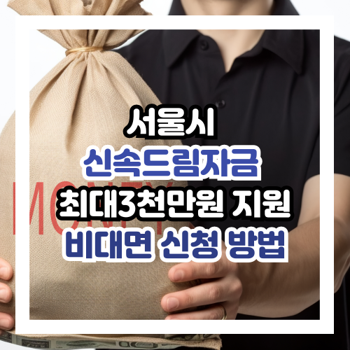 신속드림자금 비대면 신청방법