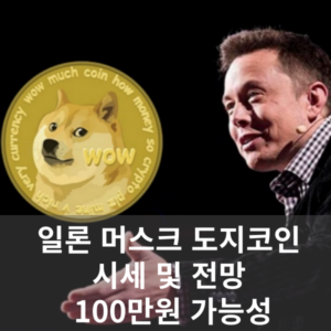 도지코인 시세 및 전망, 100만원 가능성